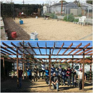 SOTS Shade Structure collage