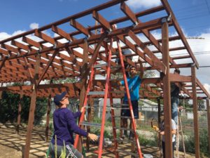 Los Angeles shade structure