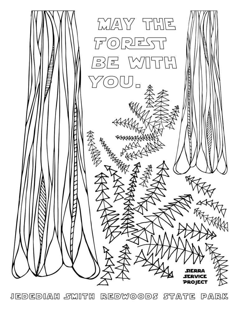 Coloring Page Smith River Sierra Service Project